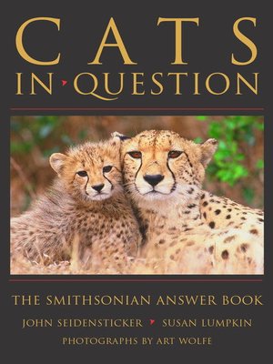 cover image of Cats in Question